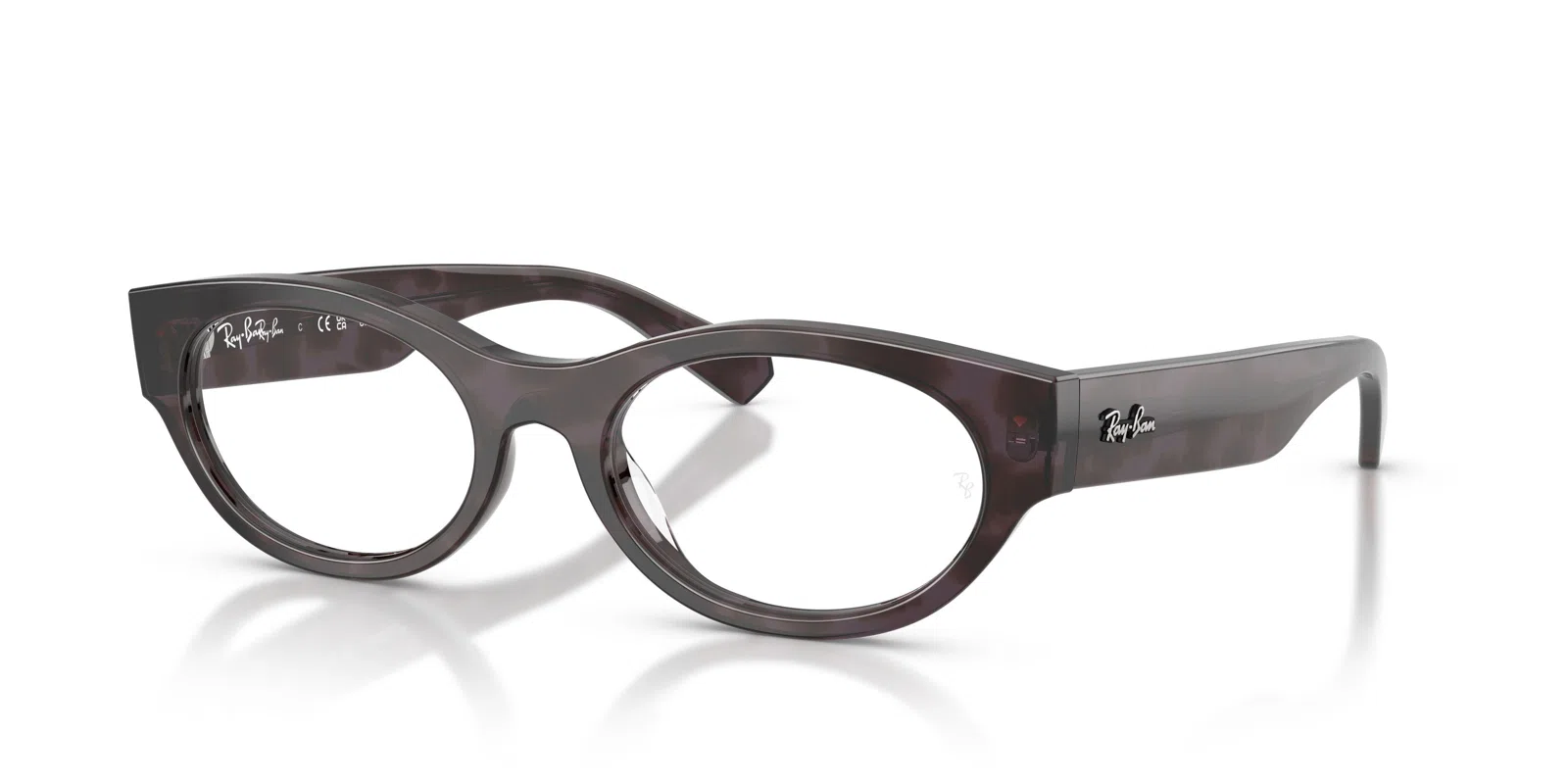 Ray-Ban 5447 Eyeglasses - view 25
